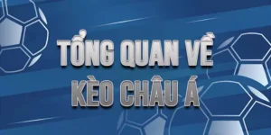 Hiểu Rõ Cách Chơi Kèo Châu Á Chi Tiết Và Hiệu Quả Cho Người Mới
