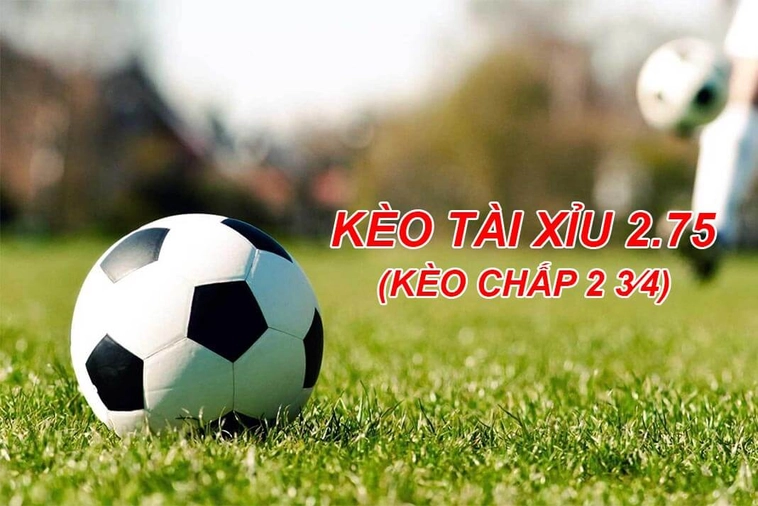 Hướng Dẫn Chi Tiết Cách Chơi Kèo 2.75 Và Cách Tính Thắng Thua Chuẩn Xác