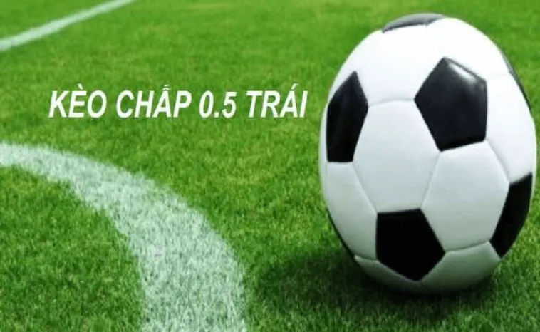 Cách chơi kèo chấp 0.5 chi tiết và chuẩn xác nhất cho người mới bắt đầu 2 Cách chơi kèo chấp 0.5 chi tiết và chuẩn xác nhất cho người mới bắt đầu
