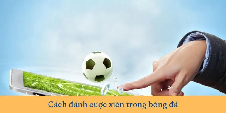 Cách Chơi Kèo Xiên Trong Bóng Đá Hiệu Quả Và Những Mẹo Tăng Tỷ Lệ Thắng